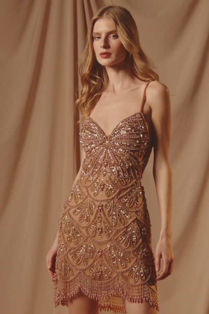 EMBROIDERY DREAMS MINI DRESS